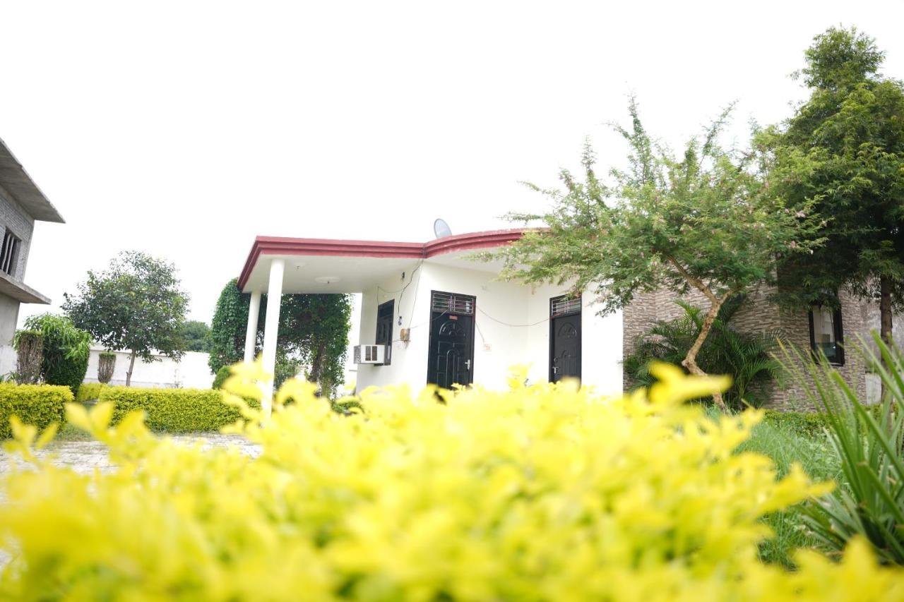 Farm Green View Resort 奥拉奇哈 外观 照片